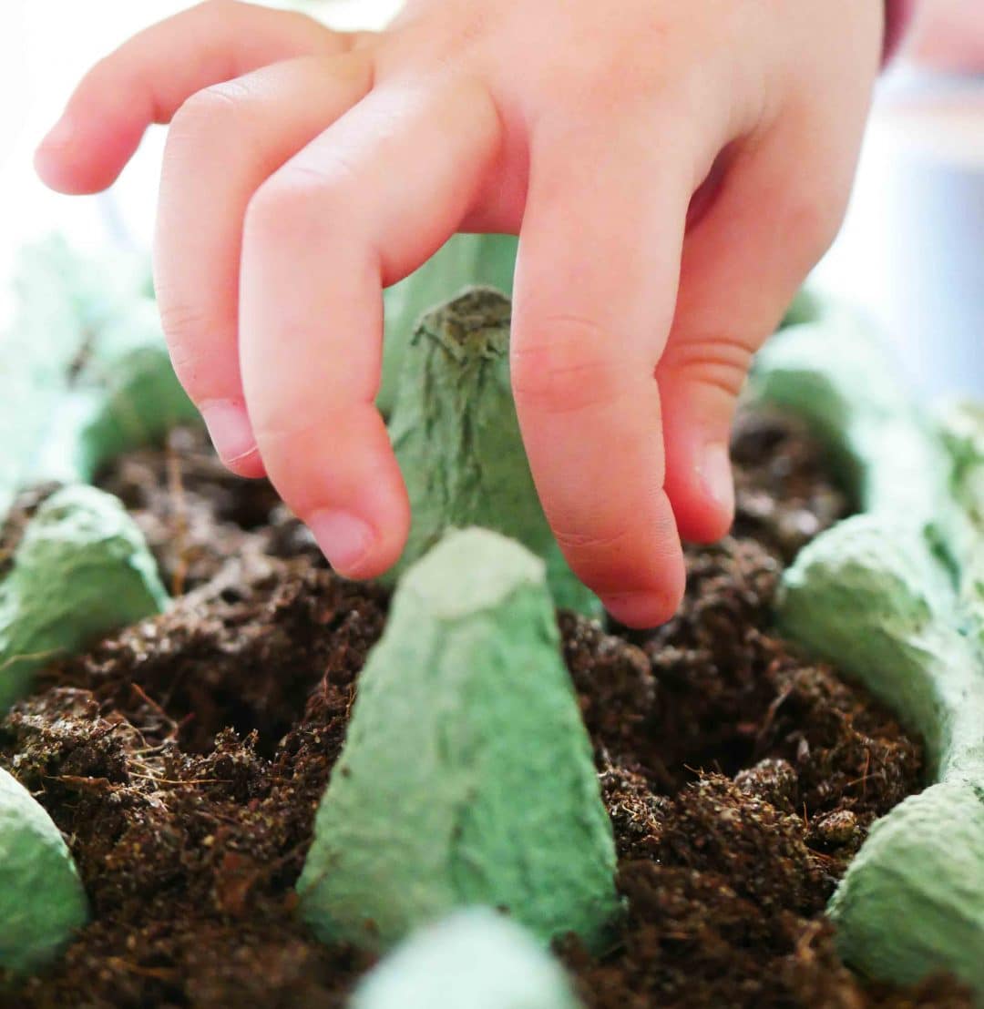 Gärtnern mit Kindern Einfache Pflanzschilder selber machen https